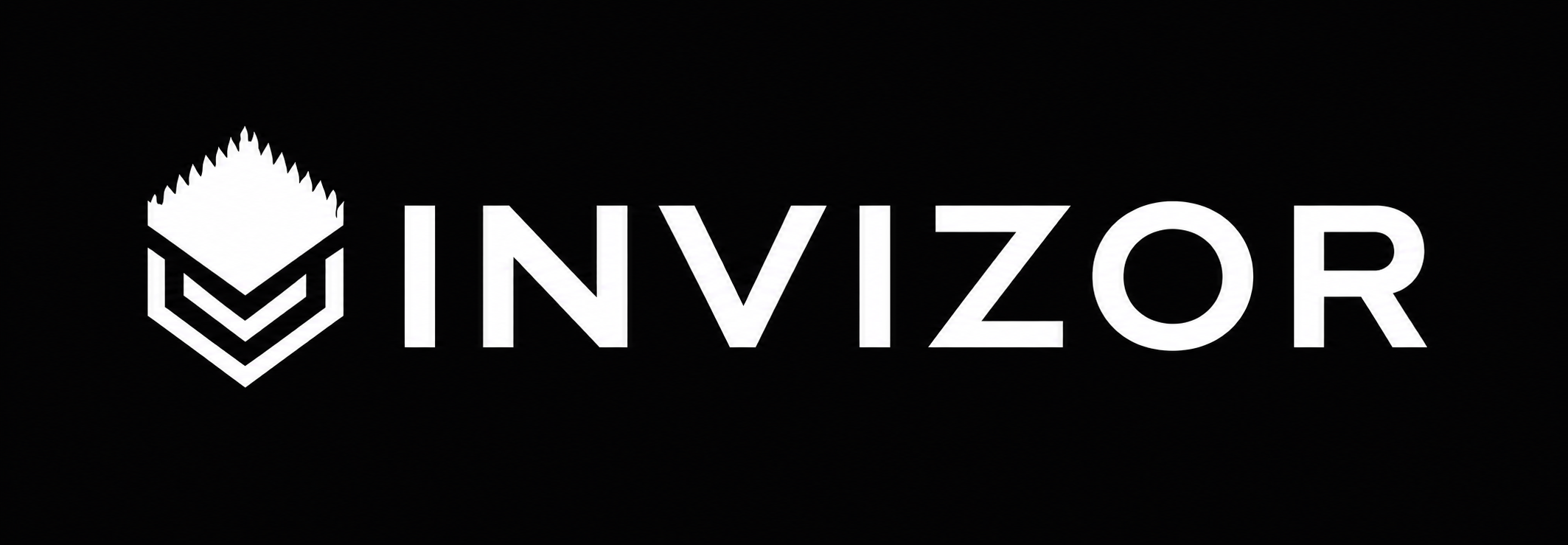 Invizor